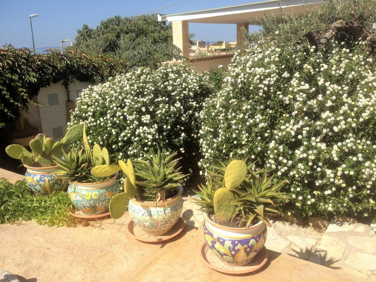 Villa Ceni - Appartamenti Con Camere, Cucina, Wc E Terrazza Sul Mare In Villa Con Piscina, Giardino E Parcheggio مارينيلا دي سيلينونتي المظهر الخارجي الصورة