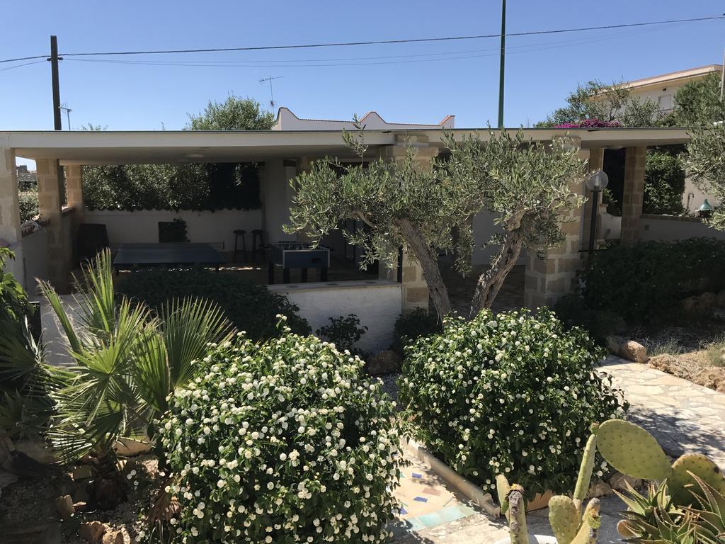 Villa Ceni - Appartamenti Con Camere, Cucina, Wc E Terrazza Sul Mare In Villa Con Piscina, Giardino E Parcheggio مارينيلا دي سيلينونتي المظهر الخارجي الصورة
