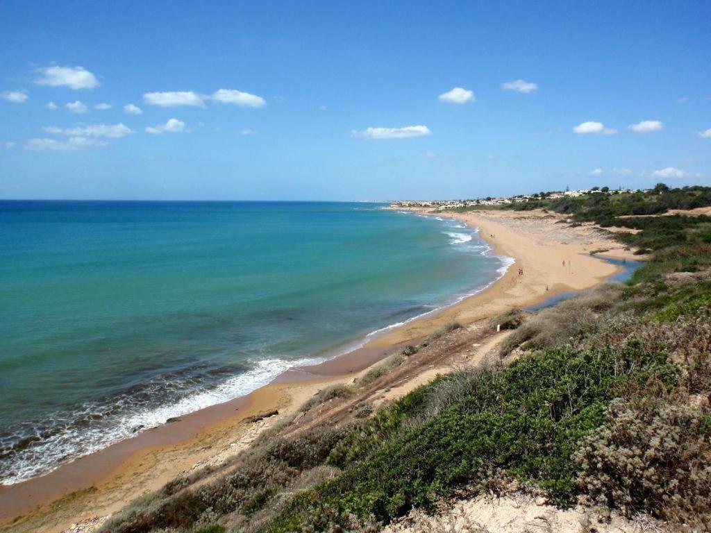 Villa Ceni - Appartamenti Con Camere, Cucina, Wc E Terrazza Sul Mare In Villa Con Piscina, Giardino E Parcheggio مارينيلا دي سيلينونتي المظهر الخارجي الصورة