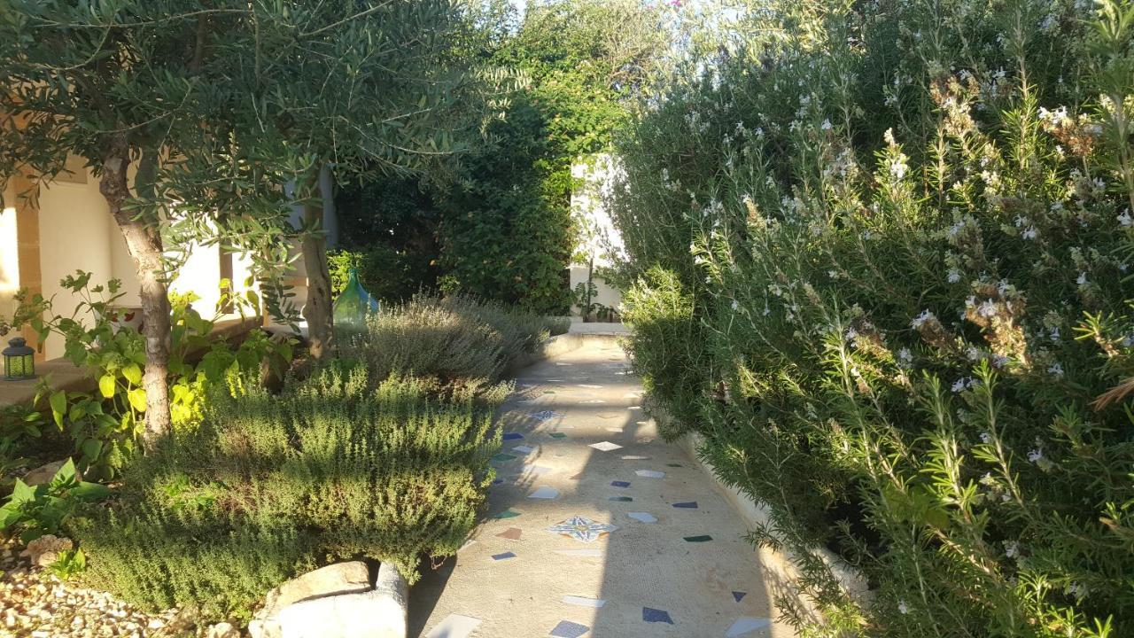 Villa Ceni - Appartamenti Con Camere, Cucina, Wc E Terrazza Sul Mare In Villa Con Piscina, Giardino E Parcheggio مارينيلا دي سيلينونتي المظهر الخارجي الصورة