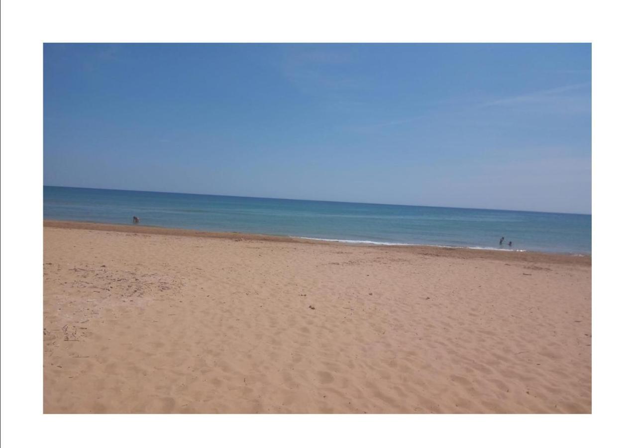 Villa Ceni - Appartamenti Con Camere, Cucina, Wc E Terrazza Sul Mare In Villa Con Piscina, Giardino E Parcheggio مارينيلا دي سيلينونتي المظهر الخارجي الصورة