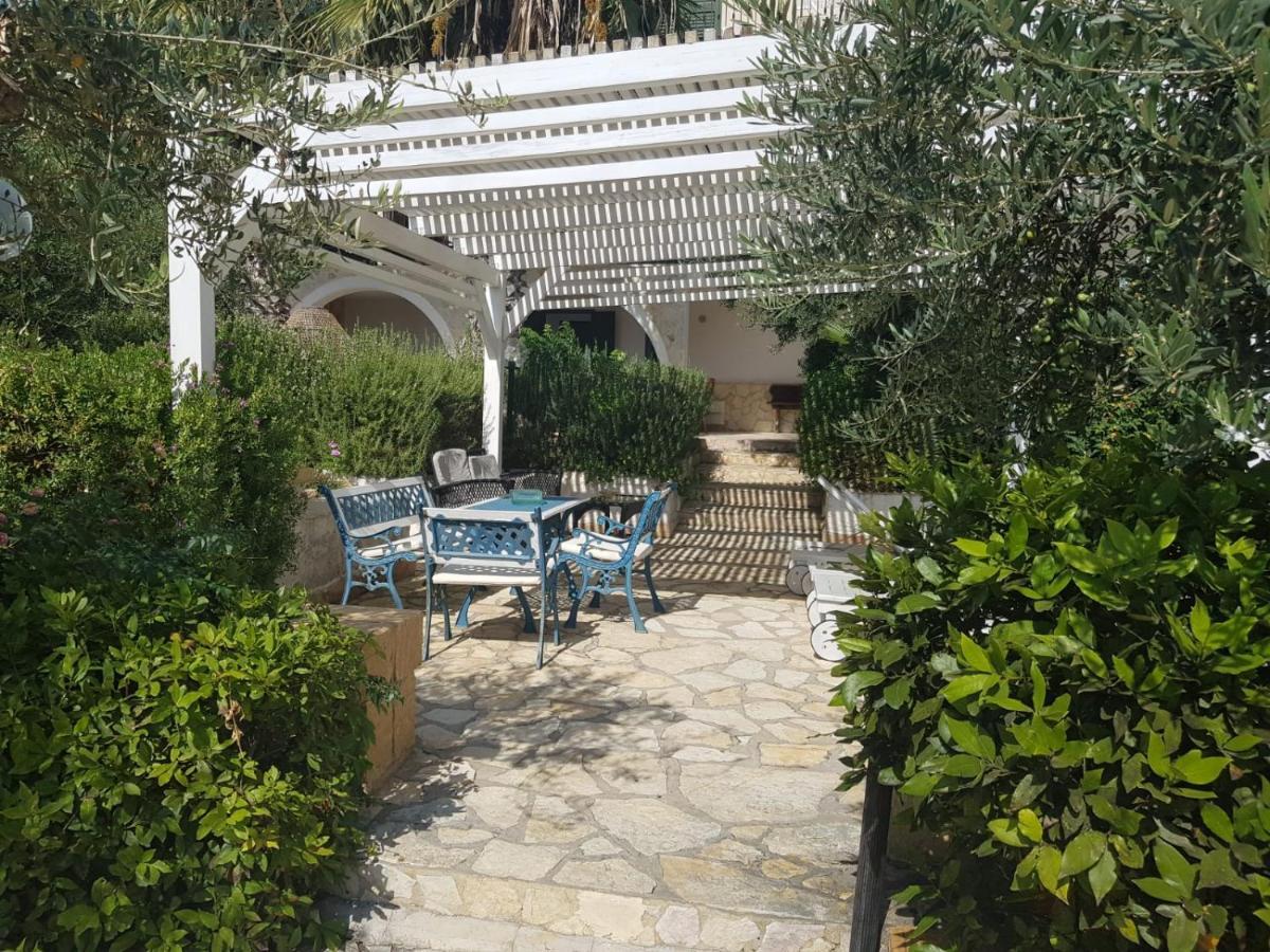 Villa Ceni - Appartamenti Con Camere, Cucina, Wc E Terrazza Sul Mare In Villa Con Piscina, Giardino E Parcheggio مارينيلا دي سيلينونتي المظهر الخارجي الصورة