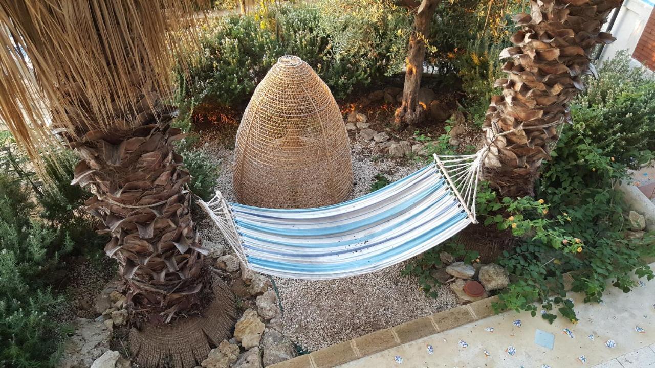 Villa Ceni - Appartamenti Con Camere, Cucina, Wc E Terrazza Sul Mare In Villa Con Piscina, Giardino E Parcheggio مارينيلا دي سيلينونتي المظهر الخارجي الصورة